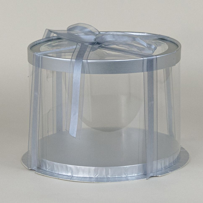 NS5570SILVER.jpg