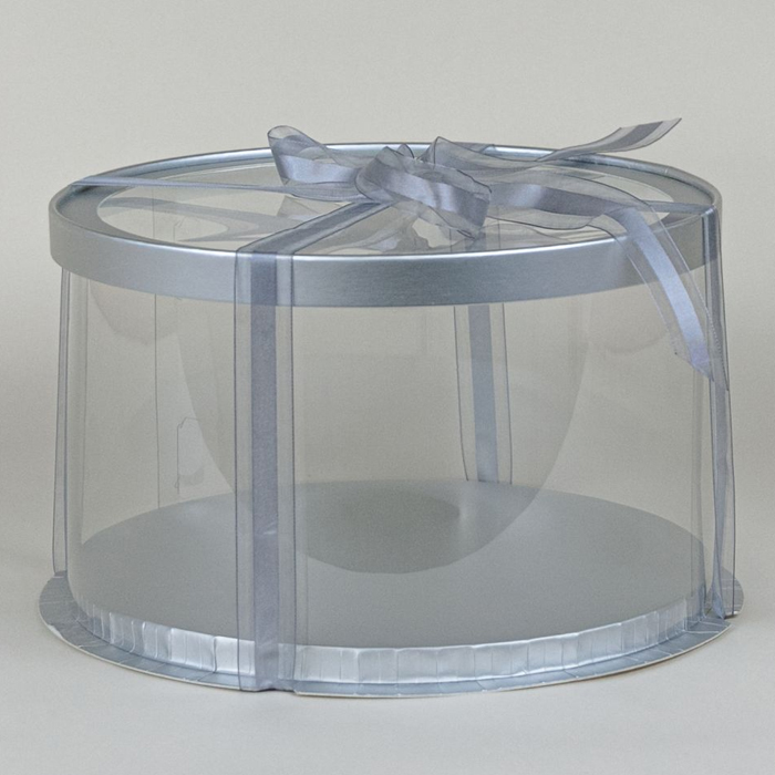 NS5572SILVER.jpg